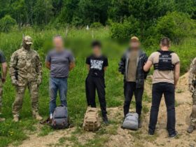 чоловіки, ліс, рюкзаки