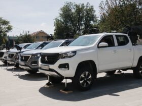 автівки дорога, дерева