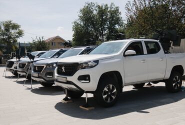 автівки дорога, дерева