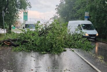 дорога, автівки, дерева, небо