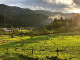 літо спека гори