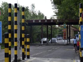 вилок кордон