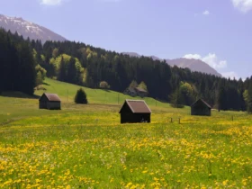 літо гори