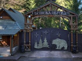 «Дача Медведчука» на 226 гектарах лісу