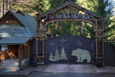 «Дача Медведчука» на 226 гектарах лісу