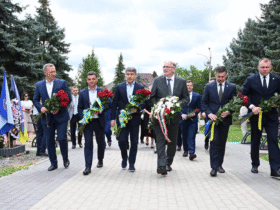 люди, площа, квіти, дерева, подія
