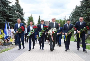 люди, площа, квіти, дерева, подія