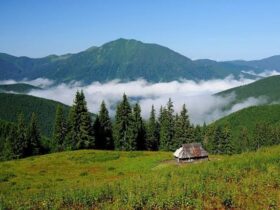 гори погода закарпаття