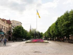 мысто, площа, прапор, дерева