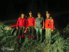 ніч, люди, ліс