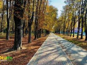 осінь на Закарпатті